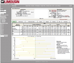 Limousin Registry Screen Capture